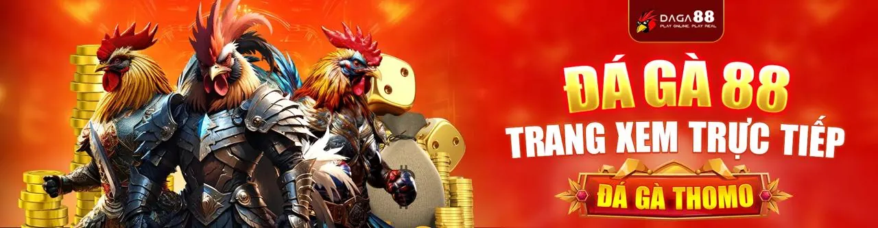 Các loại cookie được sử dụng bởi TK88BET để bảo vệ dữ liệu